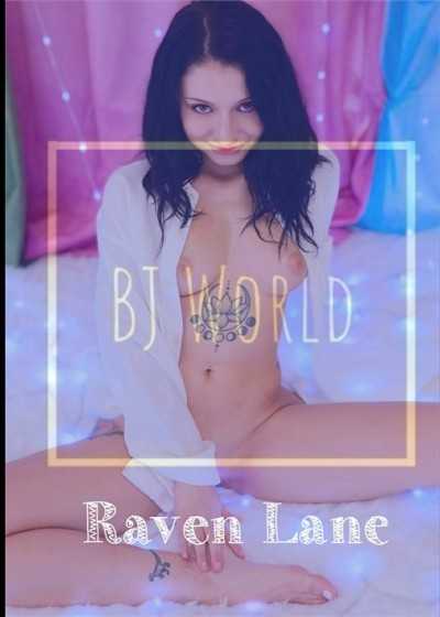 Raven Lane 前往 Poundtown 旅行