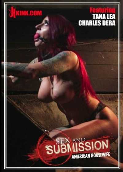 性與服從－美國家庭主婦