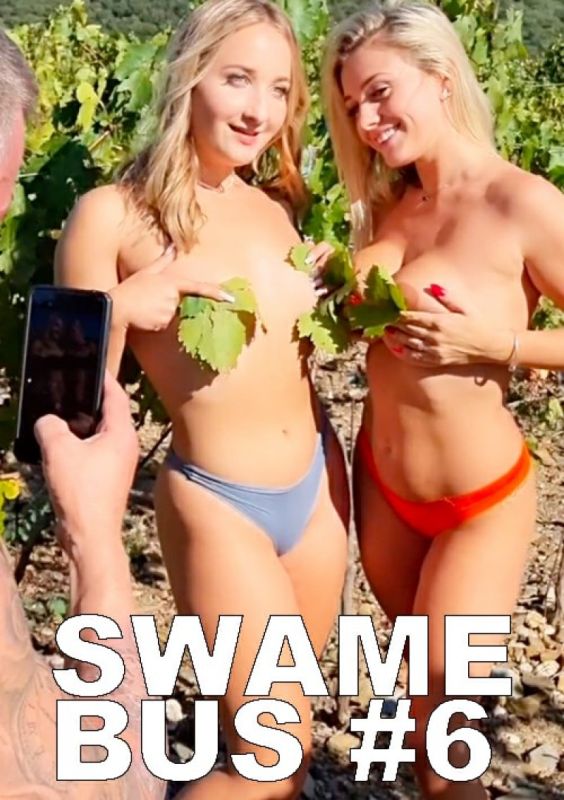 自由巴士 6 葡萄園中的性愛趴